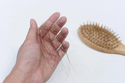 Can NMN Reverse Hair Loss? A Deep Dive into the Research